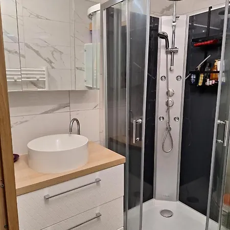 Residentiel Avec Terrasse, Jardin Privatif Et Piscine A Apartment Cannes
