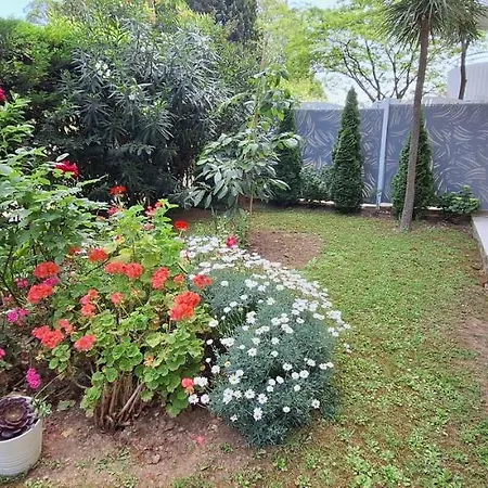 Apartment Residentiel Avec Terrasse, Jardin Privatif Et Piscine A Cannes